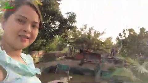 #MTQT# Em Gái Miền Tây Nướng Cá Cực Chất-  cá lóc nướng trui Bữa cơm chiều  | Miền Tây Quê Tôi