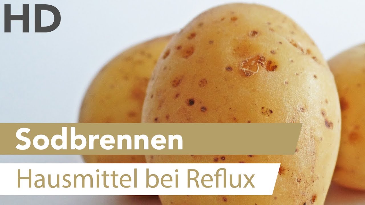 Ernährungs Docs Sodbrennen Rezepte Ernährungs Docs Sodbrennen Rezepte