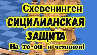 : 7) .  . .  (  . )
