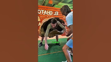 This Turtle Shell Is WAY Heavier Than You Think 🐢 #shorts