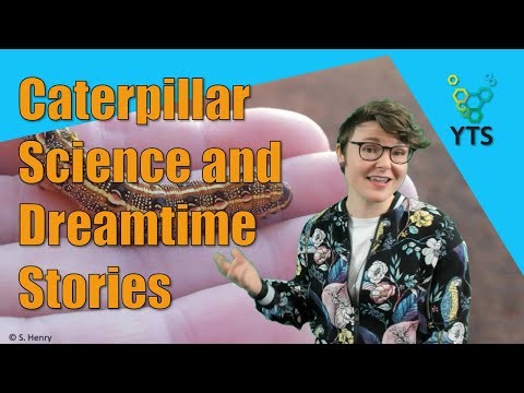 Caterpillar Science and Dreamtime Stories with Shasta Henry ...