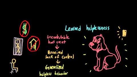 Personal control (locus of control, learned helplessness, and the tyranny of choice)