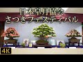 【盆栽】2021さつきフェスティバル　美しい皐月盆栽【Bonsai】Satsuki Azalea Festival