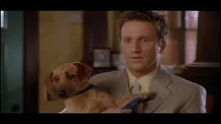 Garfield 2004   Garfield accidentally destroys the house