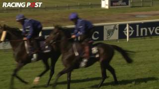 Investec Derby 2016: Godolphin contenders