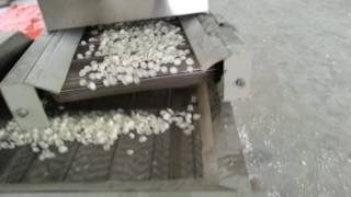 modified starch processing line in India