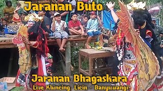 Jaranan Buto | Jaranan Bhagaskara live Kluncing,Licin - Banyuwangi