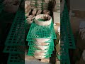 our cage stock