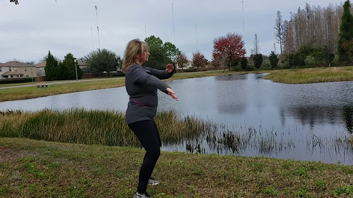 Tai Chi Chuan by Wanda Van Harlinger