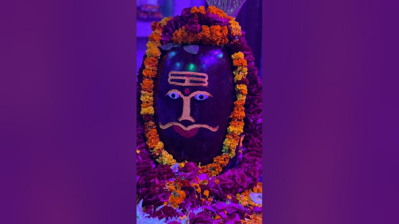 new holi song 2025 in hindi