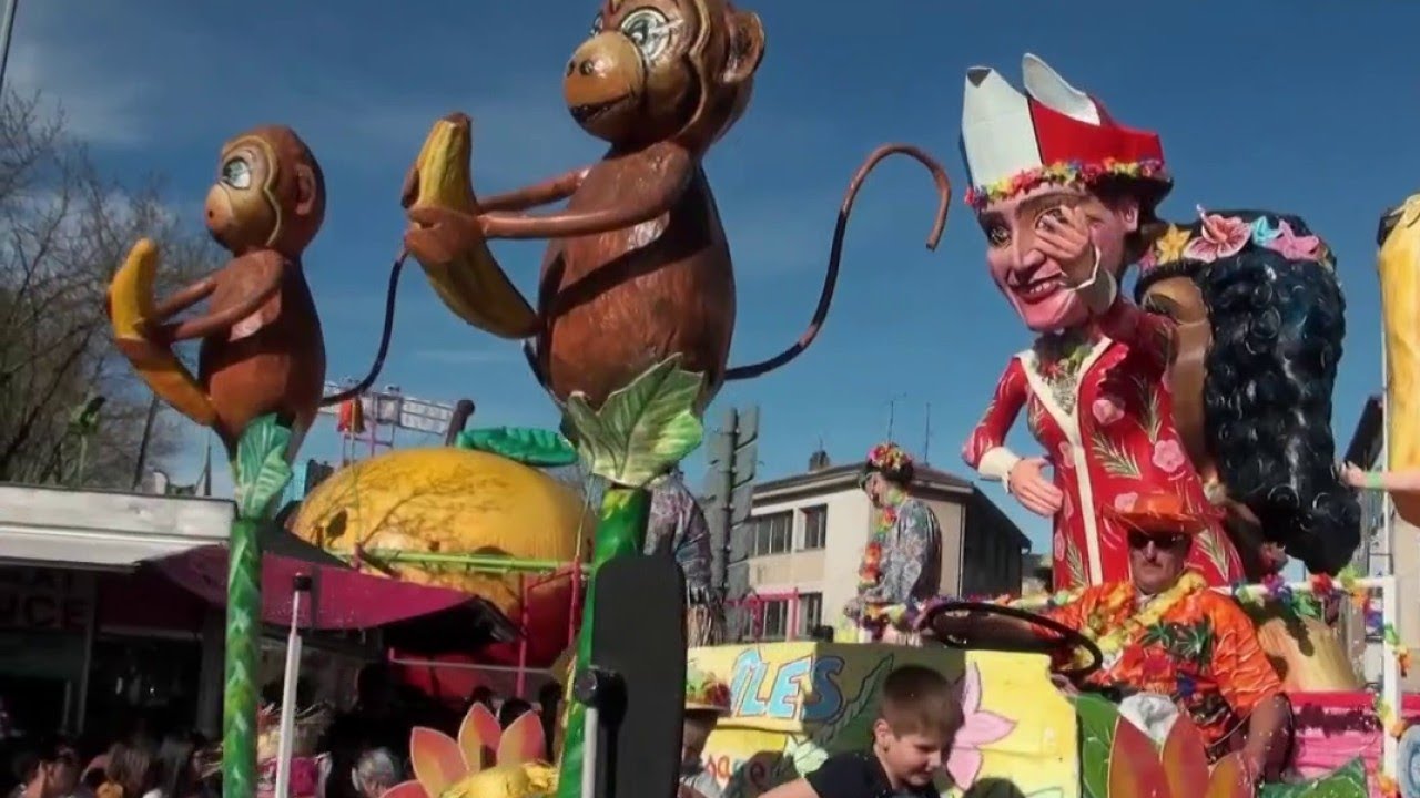 Régions - Albi : le plus vieux carnaval de France