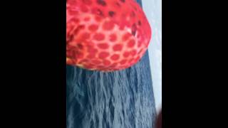 SPI Texas King fish off Jetski