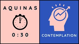 5 Reasons Happiness is Contemplation | 30 second Aquinas