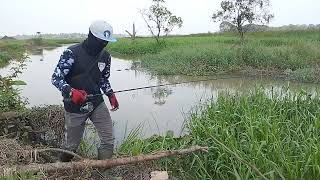 WOW SERU SEKALI MANCING GABUS DISINI#fishing