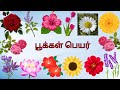 Flower Names in Tamil | பூக்கள் பெயர்கள் | Pookal names Tamil | Kids Learning Tamil