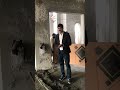 Floor tile & Termite Control Solution#youtubeshorts