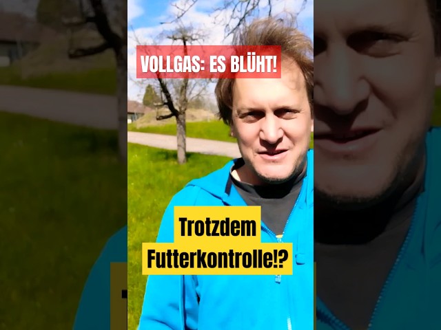 Futterkontrolle trotz Blütenmeer? - Kann ein Bienenvolk jetzt im April noch verhungern?