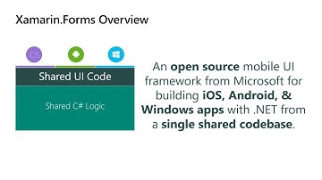 Build Fast Data Driven Mobile UI with Xamarin.Forms 4.0 and Visual Studio 2019 - THR2026