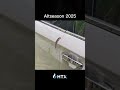 🚀 Altseason 2025 Be Like… 🦎📉📈 #cryptomeme #shorts