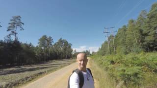 Beautiful walks up the woods in the summer of 2016
