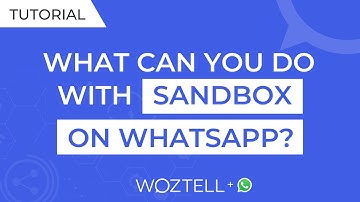 #3 What can you do with Sandbox WhatsApp? 🤯