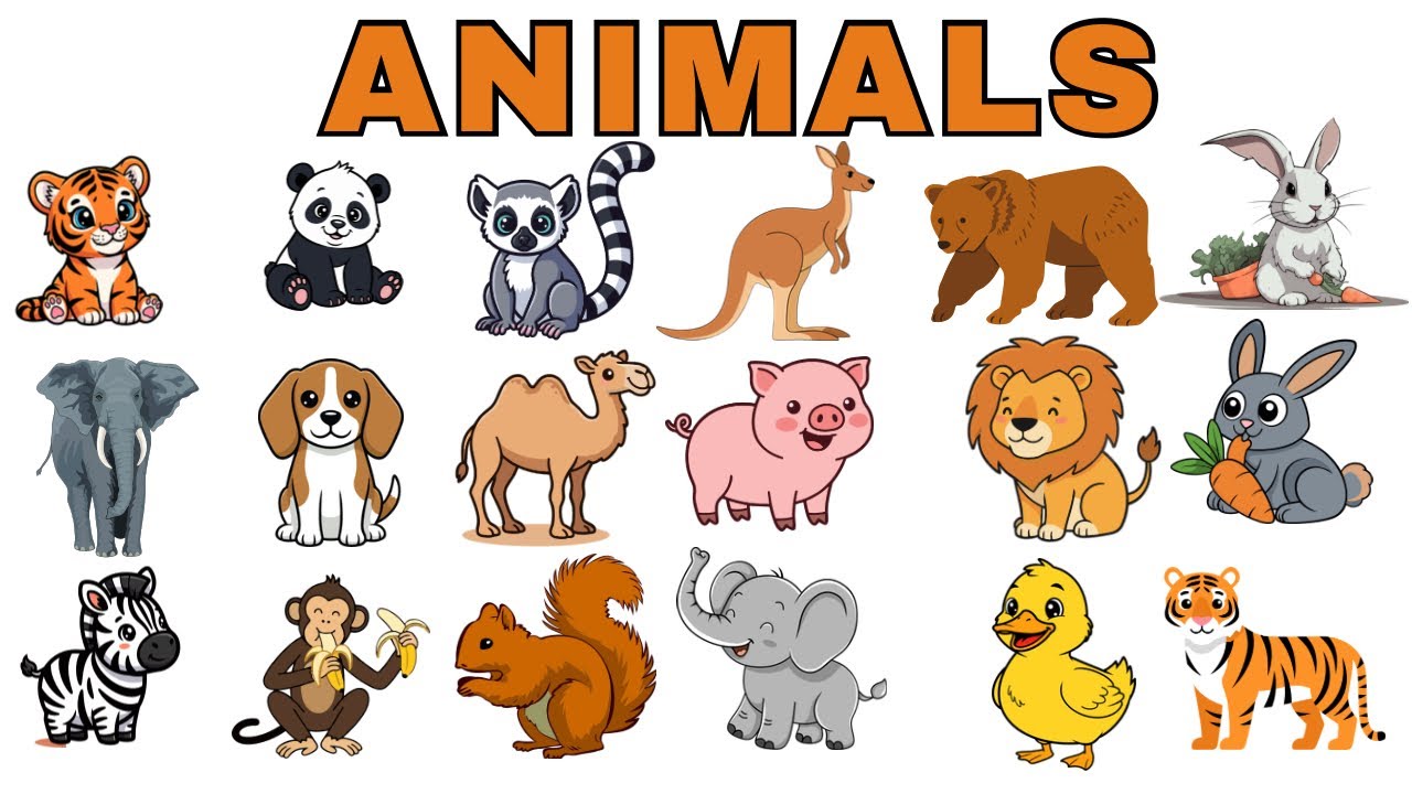 20 Animals Names for Kids | Animals Names for baby