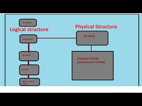 Physical data. Oracle database структура. Oracle физическая модель. Logical structure of data. Physical structures.