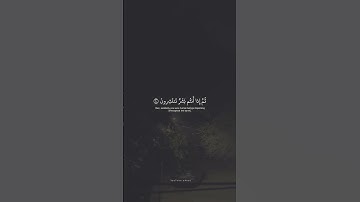 ومن آياته أن خلقكم من تراب ثم إذا أنتم بشر#اكسبلور