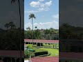 What’s your favorite Disney World resort? #wdw #disneyworld #travel #grandfloridian #disneyresort