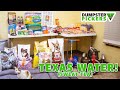 Dumpster Diving - Texas Water! (Sweet Tea)