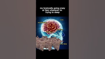 My 2 braincells fighting each other at 3am