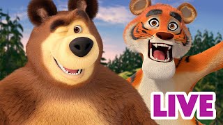 ماشا والدب 👱‍♀️ LIVE STREAM! 🐰🐯 مجتمع المخلب الناعم 🐰🐯 Masha and the Bear