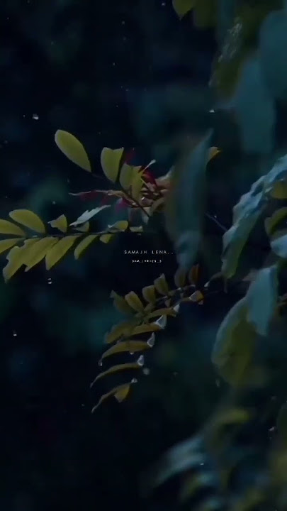 Kisi Roz Baarish Jo Aaye⛈️ | Main Rahoon Ya Na Rahoon | Instagram Reels | #aesthetic #reels