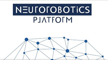 Neurorobotics Platform – Open source 3D simulator for neural network controlled robots