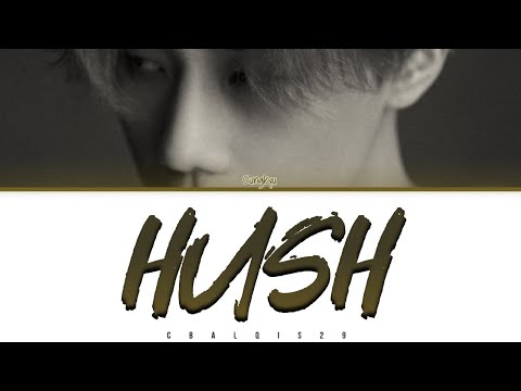 KIM SUNG KYU (김성규) - 'HUSH' (Color Coded Lyrics Eng/Rom/Han/가사)