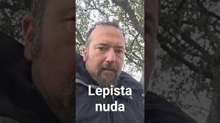 Lepista nuda (pie azul)