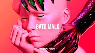 Karol G x Nathy Peluso - Gato Malo (Letra)