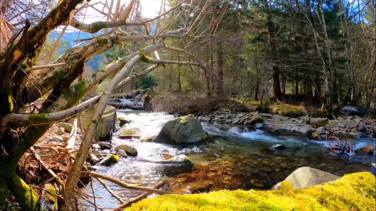 Гудит реки. Журчание реки. Звучание речки. Шумная река. В глубине тайги шумит река.