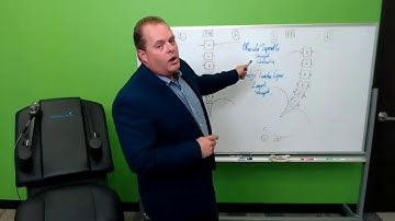 Back on Trac  Spinal decompression unit.