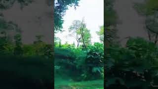 Naam Tera Ratte Ratte  viral hindisong          shorts