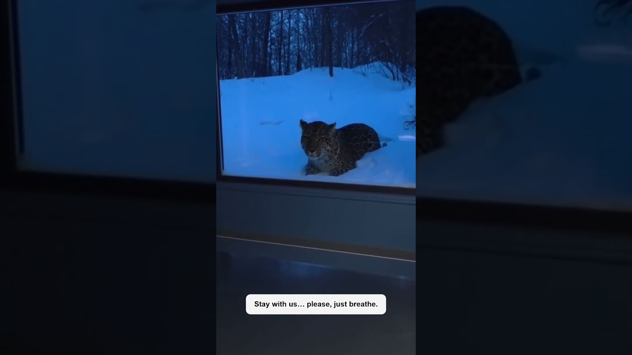 This Almost Broke Me #viral #trending #short