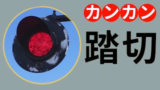 踏切 カンカン 特集【JR草津線 針踏切 #1 フィルム風】Railroad Crossing in Japan