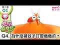 世界真奇妙S2 01 Q4 為什麼被蚊子叮會癢癢的 為什麼 為甚麼 WHY 孩子的疑問 Q A 學習新知長知識 教育問答 第二季 第1集 題目04 親子台 官方HD短版 Momokids 世界真奇妙S2 01 Q4 為什麼被蚊子叮會癢癢的 為什麼 為甚麼 WHY 孩子的疑問 Q A 學習新知長知識 教育問答 第二季 第1集 題目04 親子台 官方HD短版 Momokids