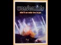 Wondermints - Out of Mind
