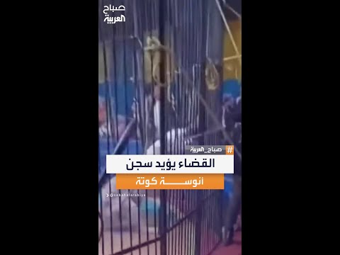 محكمة طنطا تؤيد حبس أنوسة كوتة 3 أشهر وغرامة 100 ألف جنيه