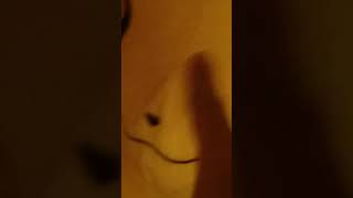 Quality Content