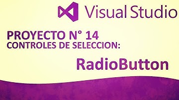 Visual Basic .NET - Parte 14 "RADIOBUTTON"