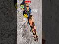 RC #tractor 4 #trolley #longest tractor #toy #cardboard DY build #YUNGDSA YEDA YUNG music