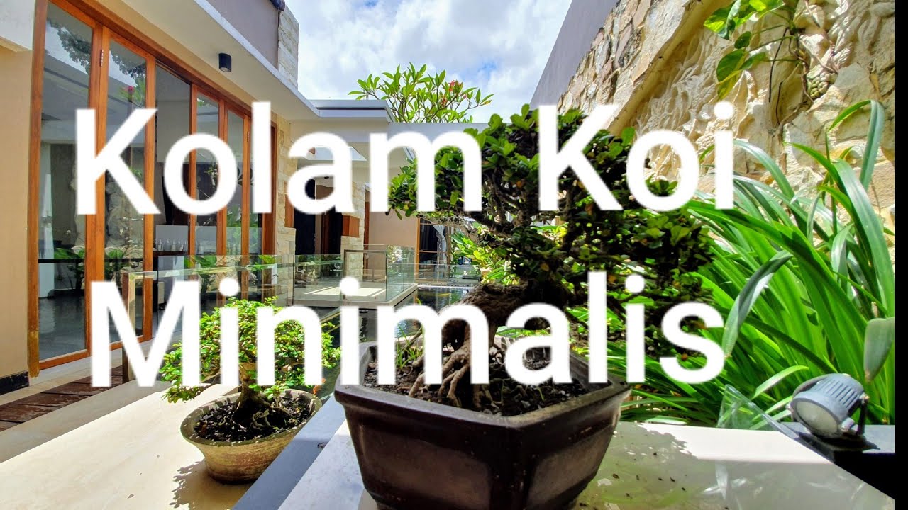 Design kolam koi dan taman minimalis - YouTube