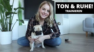 TON! BELL! GIB LAUT! und SEI RUHIG! dem Hund beibringen | Hundetraining Hundetricks